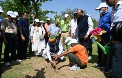 Shramdaan and Tree Plantation Drive Photo 5