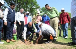 Shramdaan and Tree Plantation Drive Photo 6