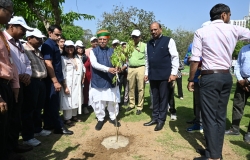 Shramdaan and Tree Plantation Drive Photo 1