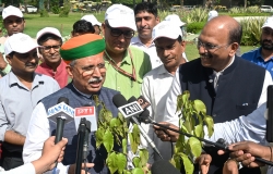 Shramdaan and Tree Plantation Drive Photo 2