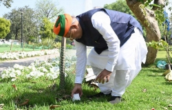 Shramdaan and Tree Plantation Drive Photo 3